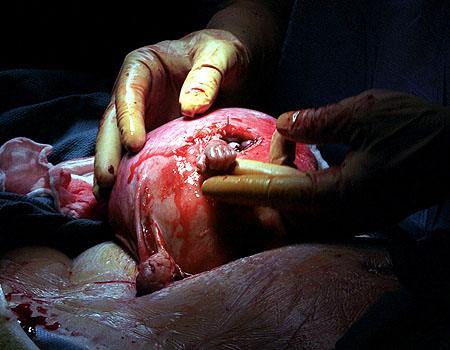 0506091157_M_TheHandofHope_450