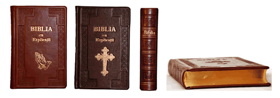 Biblii_Hand_Mand_Banner