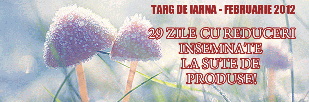 targ-de-iarna