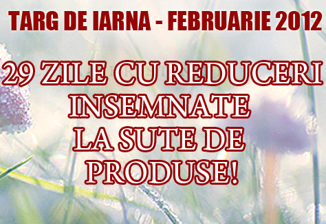 Gramma.ro deschide târgul de iarnă 2012. Reducere de 12% la cărți!