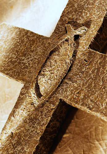 Rezumat al persecuţiilor din ultima perioadă