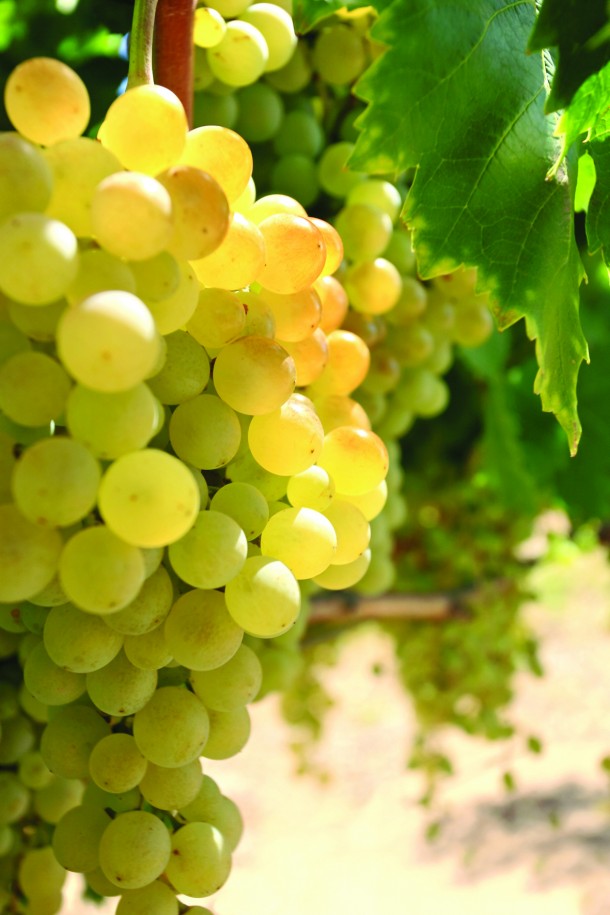 30 de Zile: “Dragoste radicală”