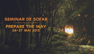 SEMINAR-DE-SOFAR-300x173