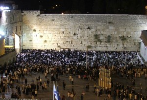 206393_374929612630076_1309171884_n