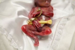 9191260511_7b17bf337b_z