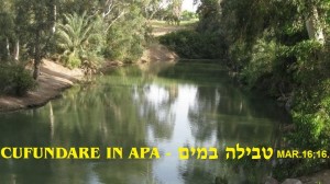 1148825_371817299612418_1482745813_n