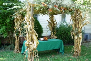 523234_246415195481519_1286818854_n