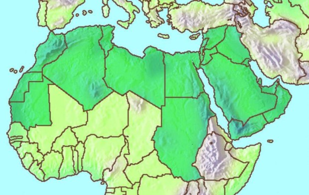Ziua a 11-a – 28 iunie 2015: “Lumea Arabă: Ştiu încotro merg”