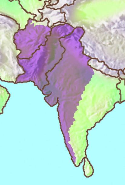 Ziua a 17-a – 04 iulie 2015: “Asia de Sud-Vest: vine schimbarea”