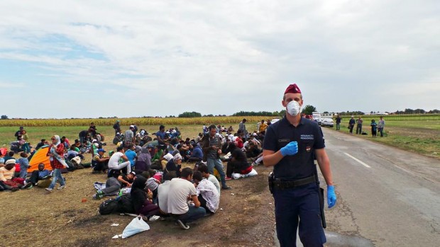 11953220_10155975866290008_4953478376261209732_n