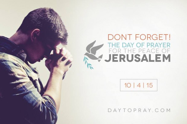 12074494_10153664590485908_8433053744924135225_n