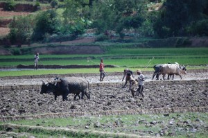 03 In riziera - Copy