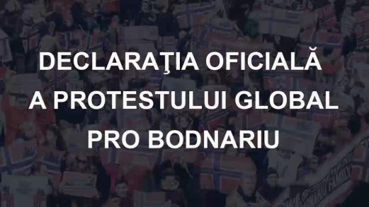 Declarația oficială de protest Pro Bodnariu, Anti Barnevernet