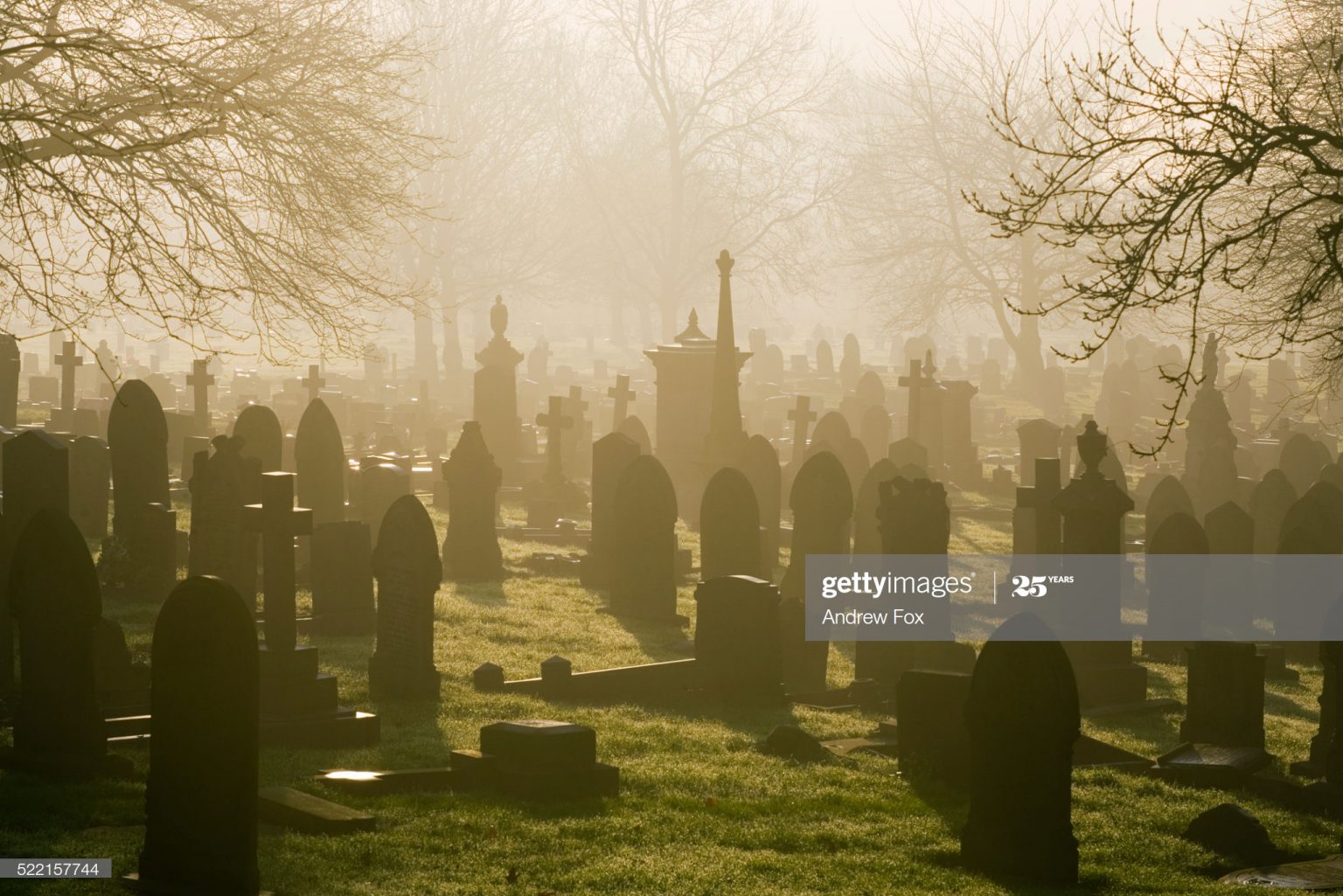 Ceva ce niciodată n-am văzut