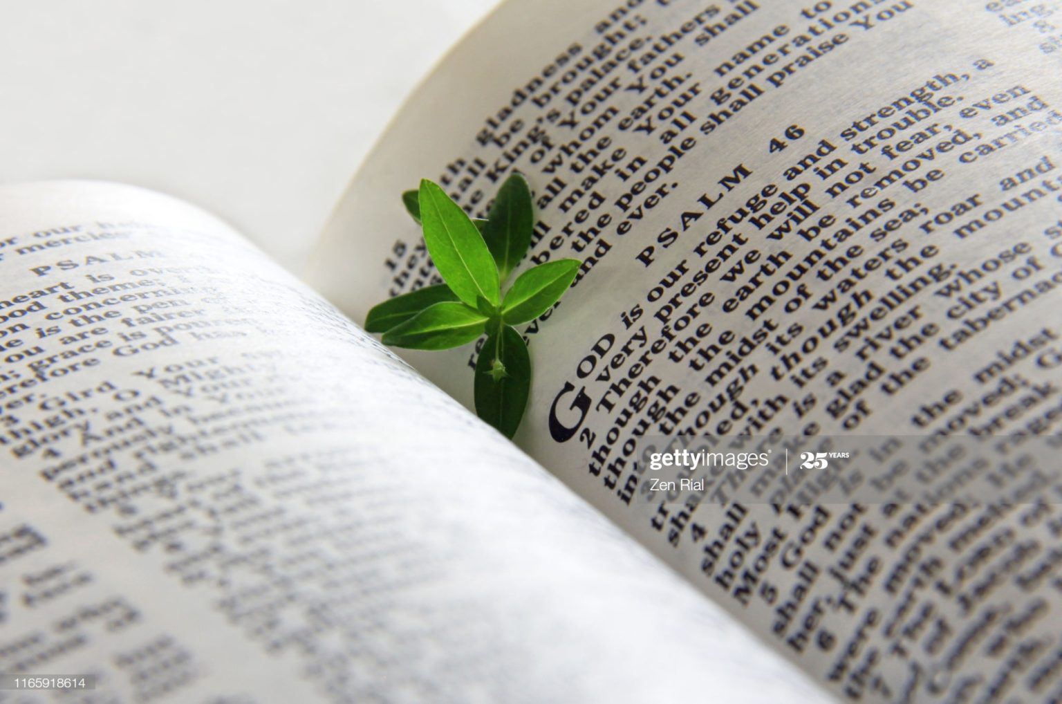 Meditația Zilei cu Sorin Cigher – Ziua #47: Optimismul, un pas sigur spre eliberare