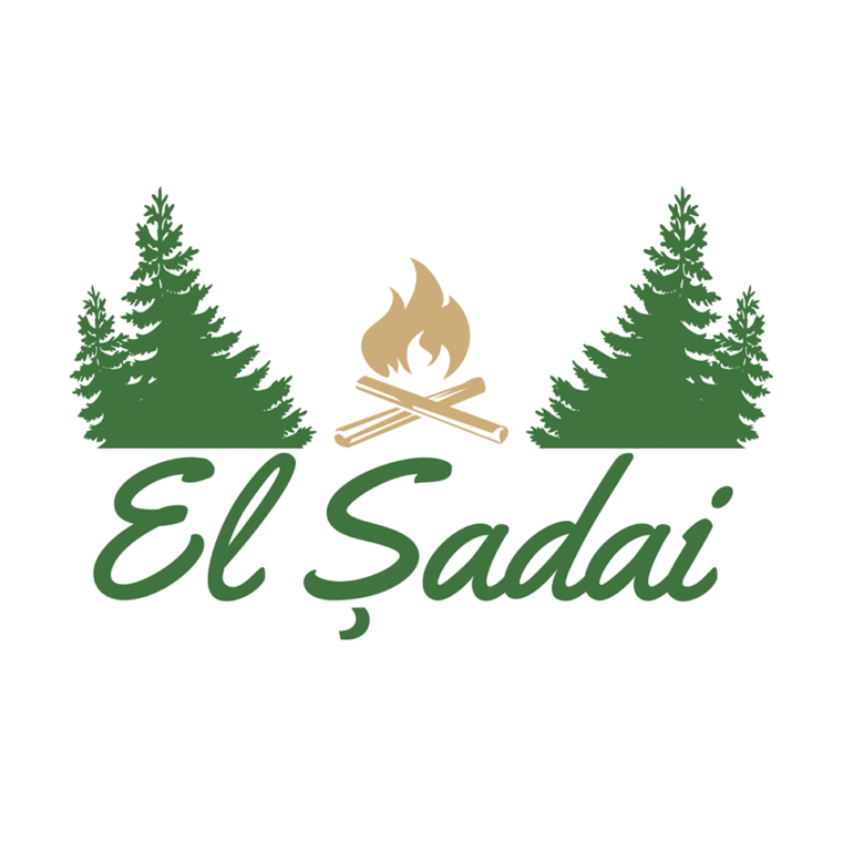 Tabăra Online: „Explozie de bucurie pe timp de pandemie”